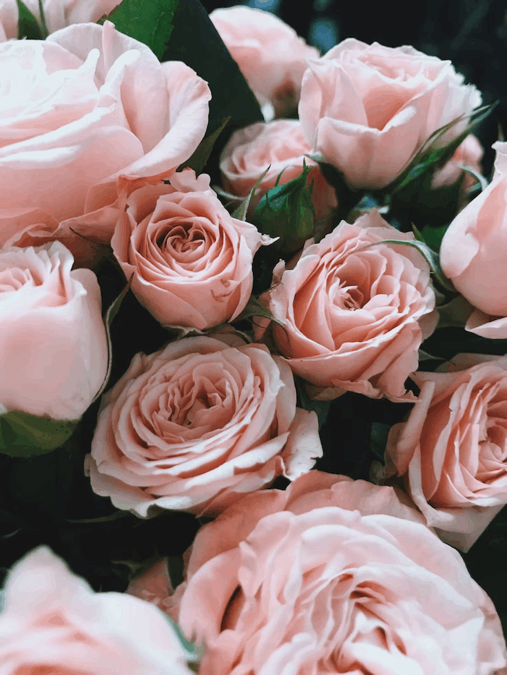Agenzia Onoranze Funebri Longo: Pompe Funebri, Funerali Religiosi E Civili, Arte Funeraria, Disbrigo Pratiche, Cremazione, Composizioni Floreali ... | Fioreria, Eden Flower, Composizioni Floreali, Matrimoni, Eventi... 