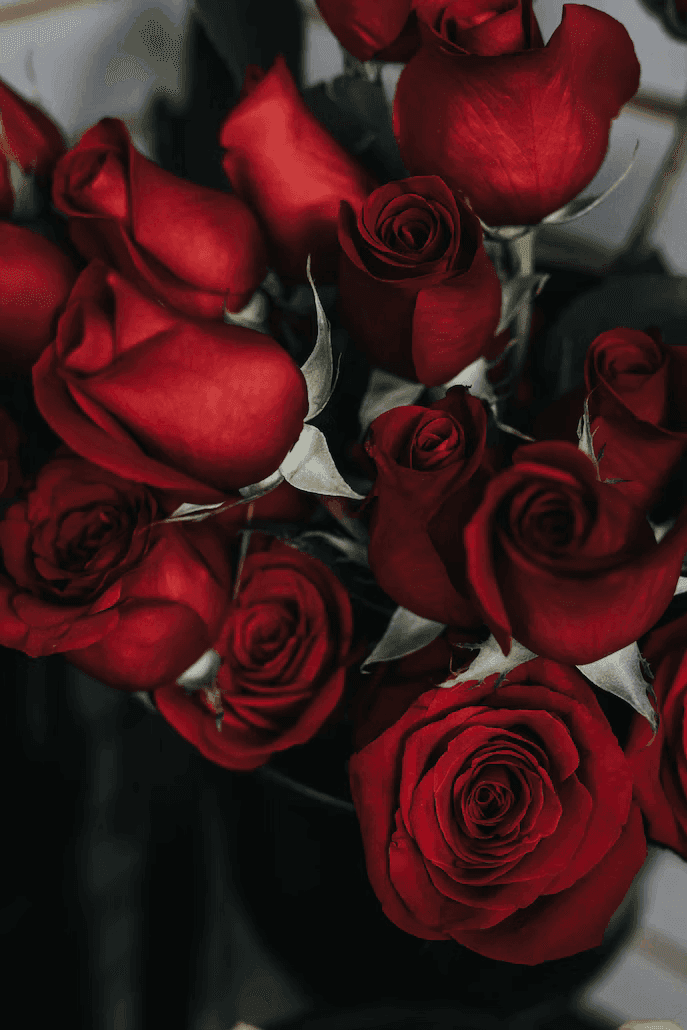 Agenzia Onoranze Funebri Longo: Pompe Funebri, Funerali Religiosi E Civili, Arte Funeraria, Disbrigo Pratiche, Cremazione, Composizioni Floreali ... | Fioreria, Eden Flower, Composizioni Floreali, Matrimoni, Eventi... 