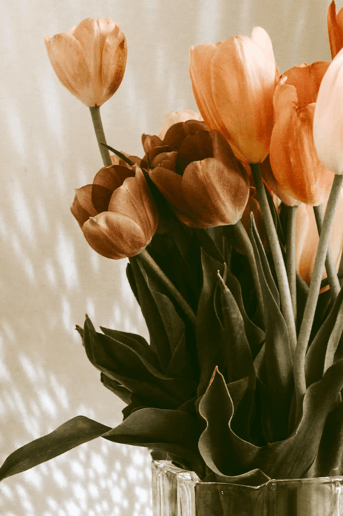 Agenzia Onoranze Funebri Longo: Pompe Funebri, Funerali Religiosi E Civili, Arte Funeraria, Disbrigo Pratiche, Cremazione, Composizioni Floreali ... | Fioreria, Eden Flower, Composizioni Floreali, Matrimoni, Eventi... 