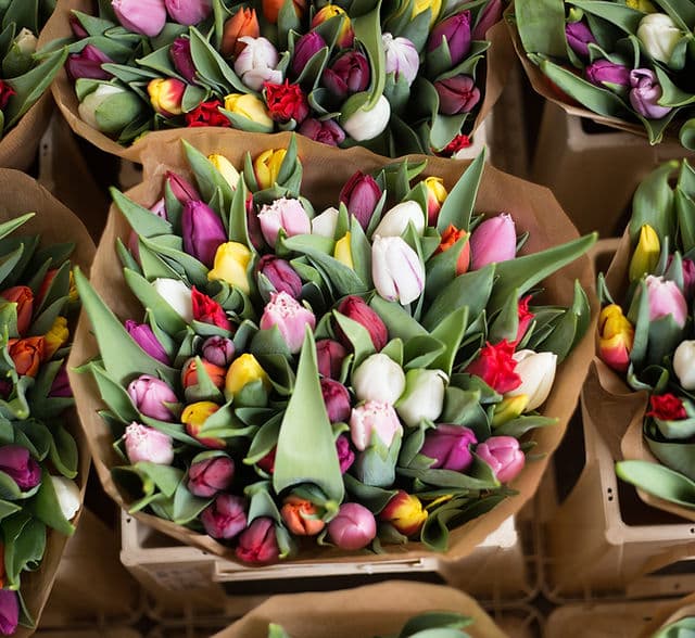 Eden Flower Fioreria ad Acate